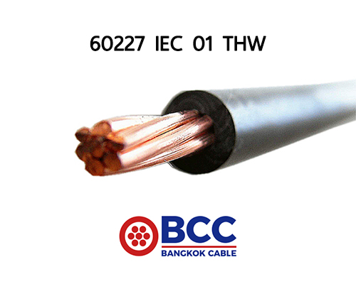 60227-IEC01-THW-BCC