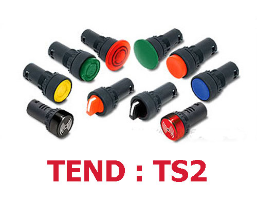 TS2-TEND